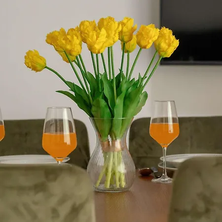 Apartman Przytulny Z Balkonem Blisko Plazy W Niechorzu By Renters Niechorze